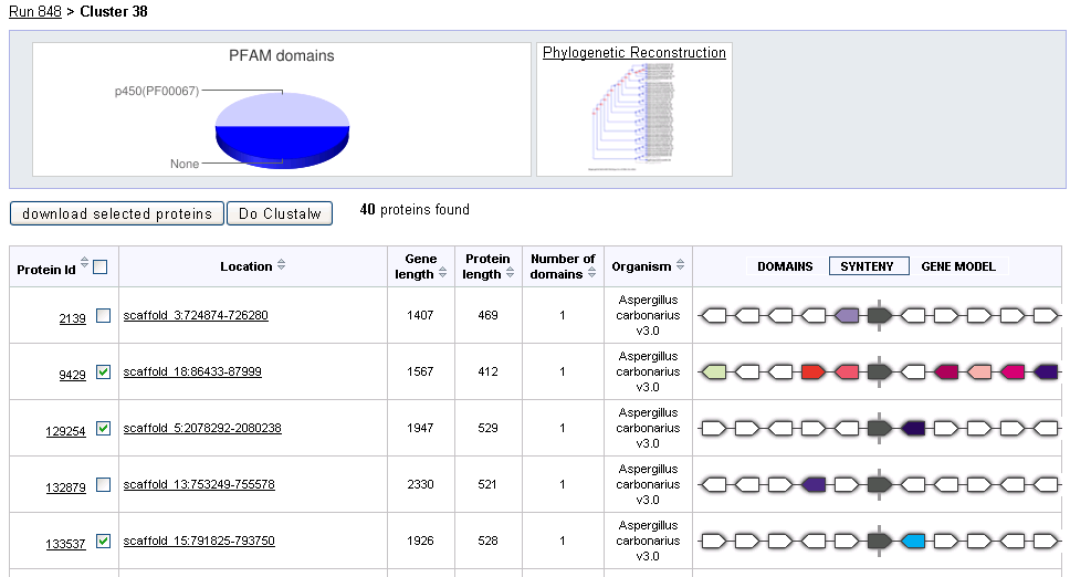 screenshot of cluster details page