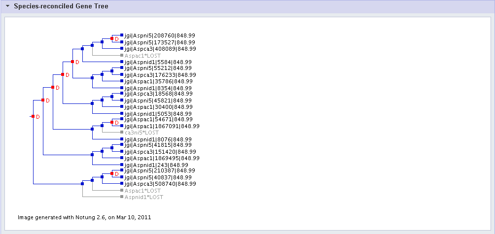 screenshot of clusters phylogenetically reconstructed tree