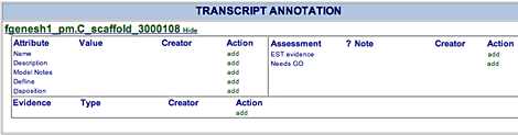 transcript annotation area