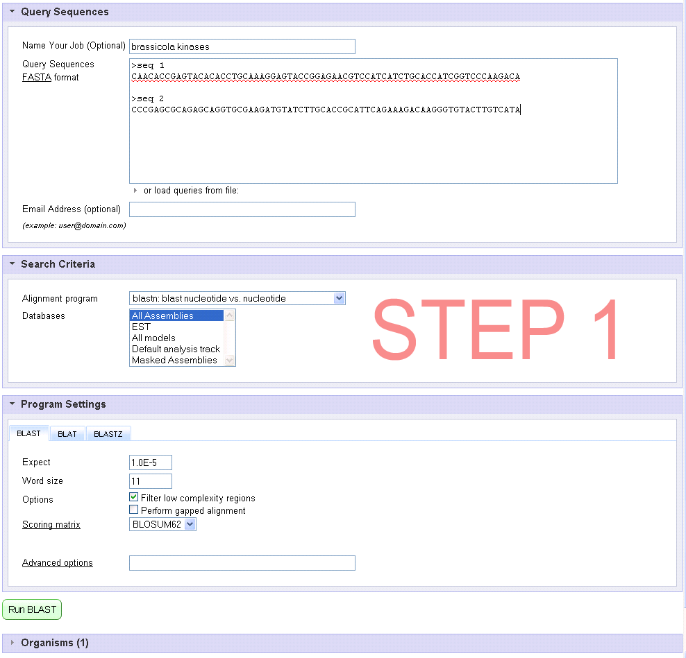 BLAST query page tiny screenshot