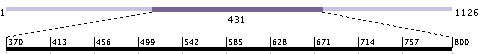 BLAST hit graphs: Adjusting the scaffold window through Advanced options