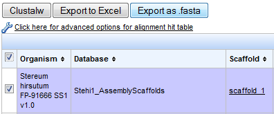 screenshot of Export options