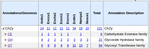 CAZY Annotations Summary