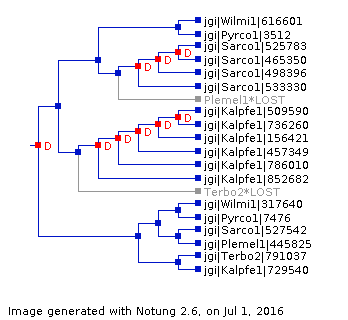 Gene tree