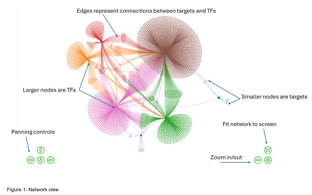 Figure 1. Network view