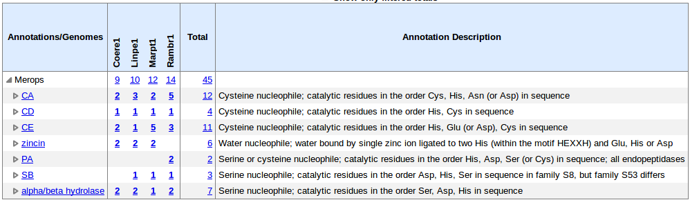 Merops Annotations Summary