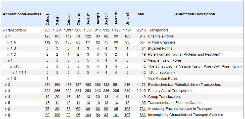 Transporter Annotations Summary