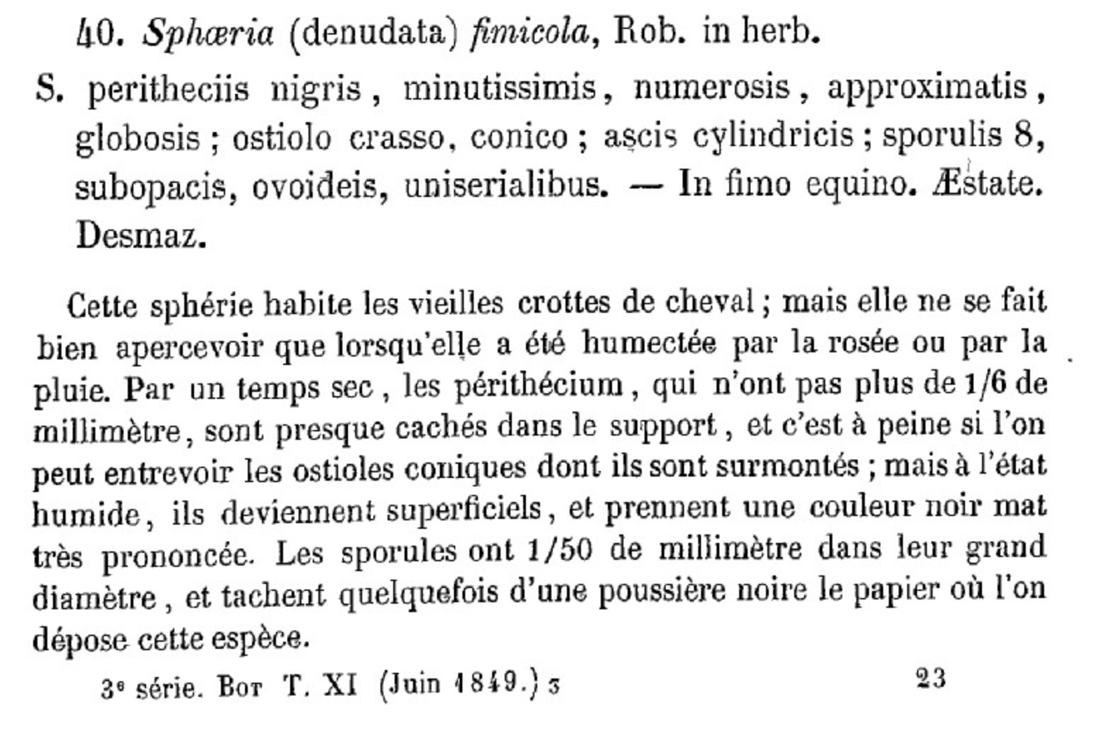 Sordaria fimicola